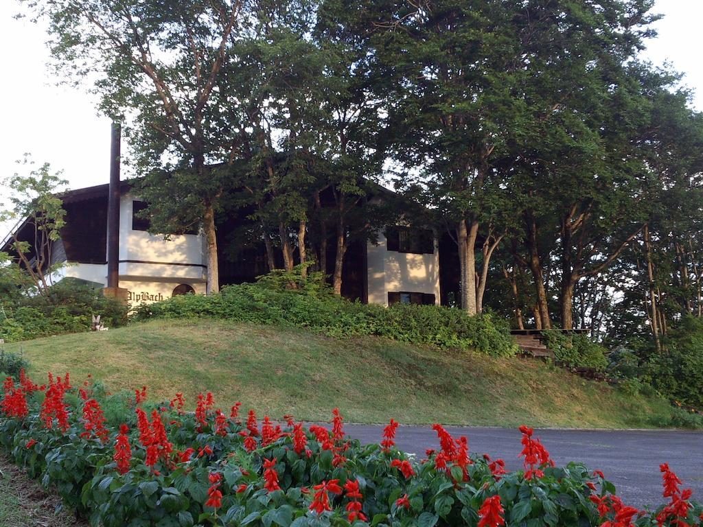 Alp Bach Madarao Villa Iijama Kültér fotó